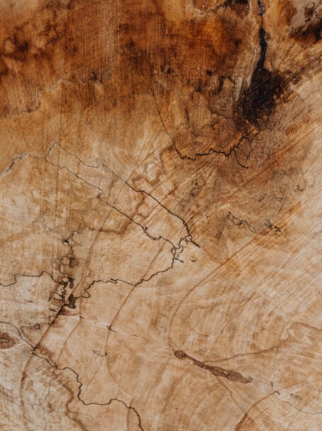 Holz